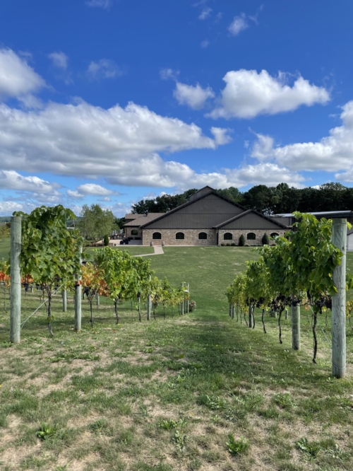 Photo Gallery – Folino Estate Winery